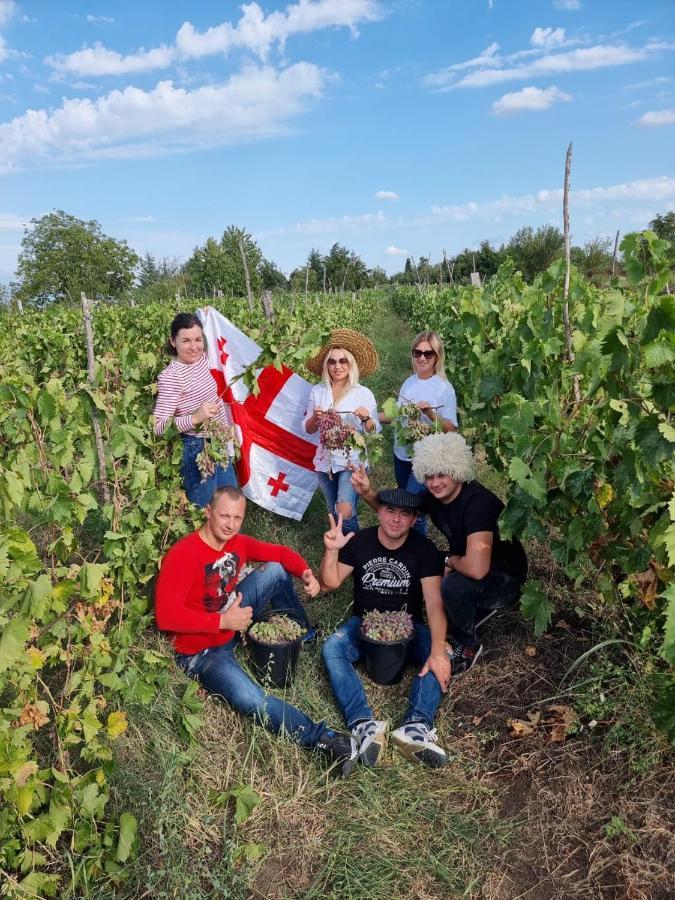 Brothers Khutsishvili Wine Cellar Kisiskhevi ภายนอก รูปภาพ